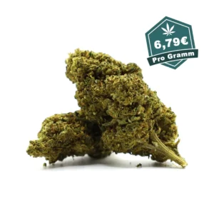 Wake and Bake | 30% OH+ | Hybrid